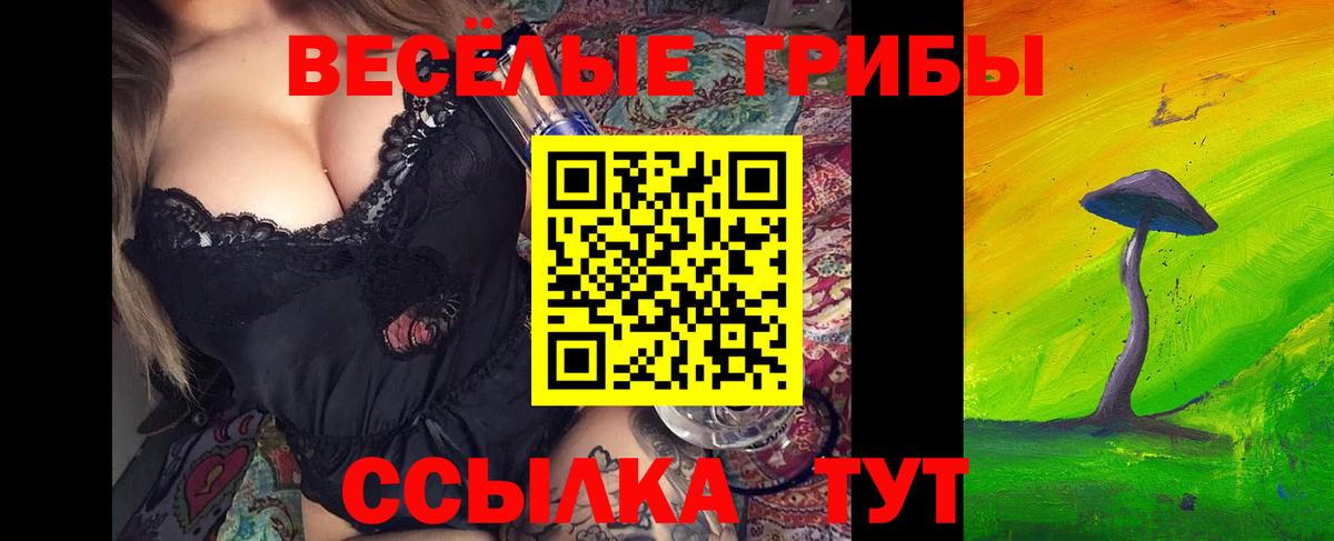 Петрозаводск  Псилоцибиновые грибы прущие грибы  Вход с VPN 